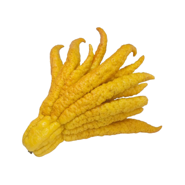 mao debuda